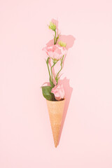 Beautiful flowers are growing out of an ice cream cone. Minimal creative surreal floral concept. Pastel pink color. Copy space. Flat lay.
