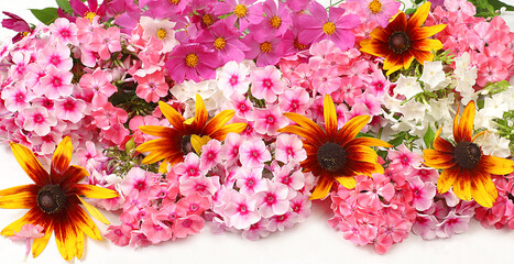 Autumn banner with beautiful phlox flowers Abstract flower arrangement,still life and flower card for birthday, wedding,holiday concept with flowers, selective focus