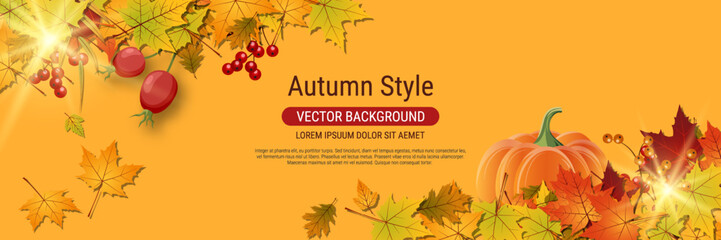 Autumn sale banner vector template. Design for flyer, invitation card, promo poster, discount coupon, voucher