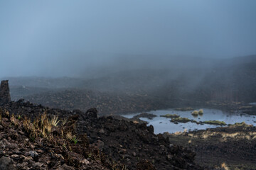 Brushfire Aftermath in Hawaii After Hurricane Lane Reflecting Climate Change 