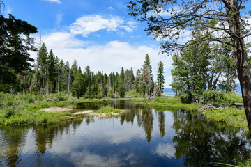 Sugar Pine Point, Lake Tahoe