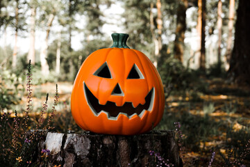 spooky Halloween pumpkin in woods. Traditional jack a lantern decoration 