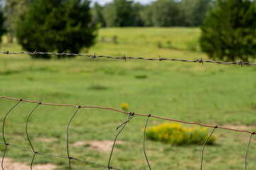 barbed wire fence