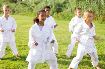 Naklejka na ściany i meble Focused tweenagers of different nationalities learning new karate moves during group class on green lawn in courtyard of sports school in summer
