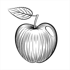 Apple in engraving style. Black white line apple illustration. Graphic vector sketch fruit in hand drawn style. Vector art line illustration of apple logo.