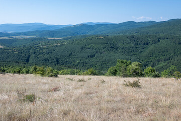 Obraz premium Amazing Summer Landscape of Rudina mountain, Bulgaria