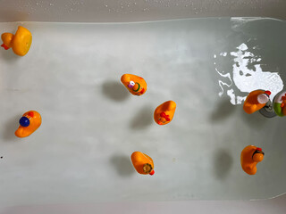 Bathtime bliss, a charming collection of yellow rubber ducks in the tub water
