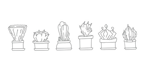 Set of flowerpots. Illustrations of house plants