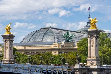 Deurstickers Pont Alexandre III Pont Alexandre III und Grand Palais in Paris