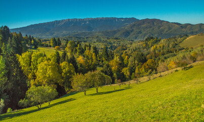 Obraz premium landscape with vineyard