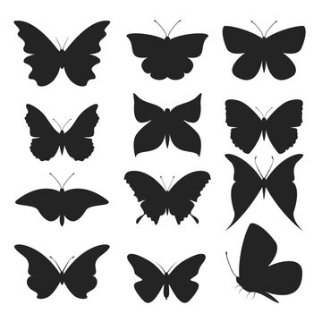 butterfly.silhouette Cute black shadow butterfly image.collection of variant shape Insect butterfly.vector illustration for your design decoration.