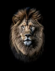 Gordijnen Majestic Lion: A Symbol of Jesus Glorious Return - Capturing the Spiritual Anticipation on a Black Canvas. © touchedbylight