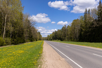 Fototapeta na wymiar paved road in the countryside in the spring forest