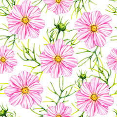 Watercolor cosmos flowers hand drawn seamless pattern