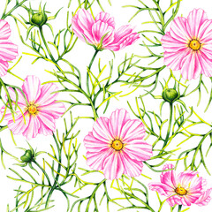 Obraz premium Watercolor cosmos flowers hand drawn seamless pattern