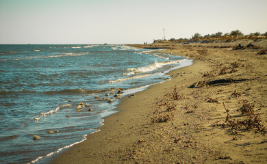 beach in the morning