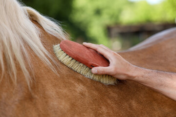Man brushing adorable horse outdoors, closeup. Pet care