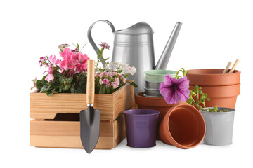 Beautiful flowers, pots and gardening tools isolated on white