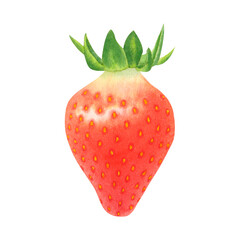 Juicy ripe strawberry isolated on transparent background. Watercolor hand drawn illustration. For advertising, packaging, menus, invitations, business cards, postcards, printing.