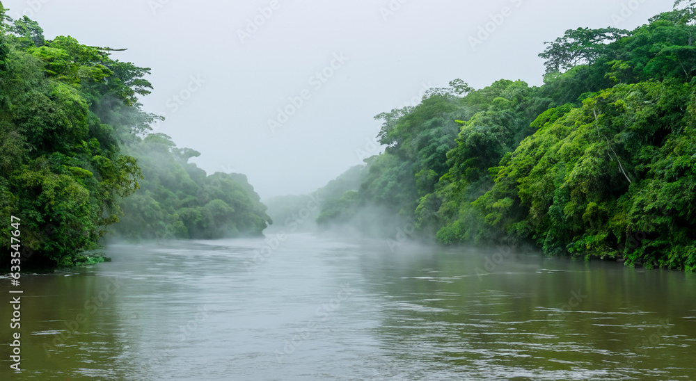 Wall mural magnificent misty amazon river with mist and green forested area in high resolution and high sharpness HD