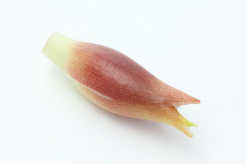 Fototapeta premium 日本の食材、茗荷