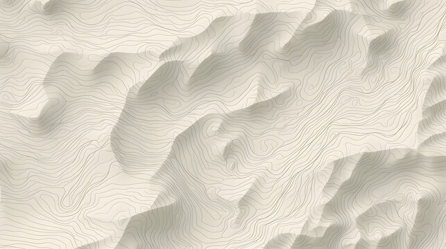 Terrain map. Contours trails, image grid geographic relief 
