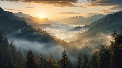 Beautiful matinee misty forest in the rays of the rising sun. High quality illustration