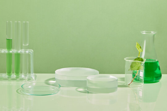 Empty transparent podiums arranged with some glassware. A conical flask and test tubes containing green liquid. Blank space to display product extracted from Fish mint (Houttuynia cordata)