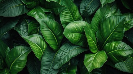 Tropical leaves background. Green leaves pattern. Tropical leaves texture, Generative AI