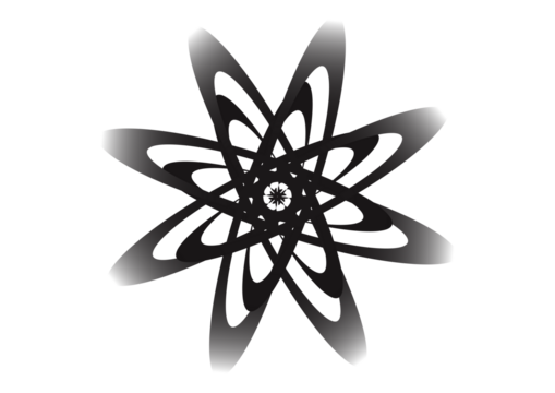black and white flower