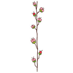 branch of blossoming flowers