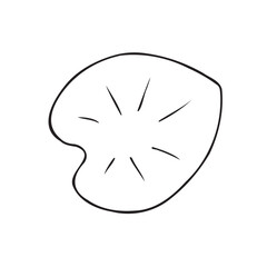 Vector hand drawn doodle sketch water lily leaf isolated on white background