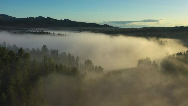 Fog settles over a lake nestled into the Black Hills of South Dakota