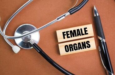 stethoscope, pen and stick with the word female organs. concept of human organs and medicine - Powered by Adobe