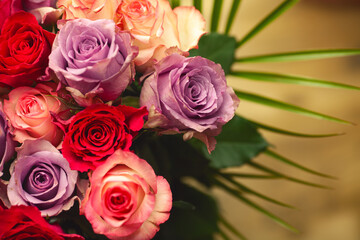 Bouquet for lover concept. Red, purple and light pink roses. Close up. Indoor shot