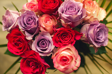 Bouquet for lover concept. Red, purple and light pink roses. Close up. Top view. Indoor shot