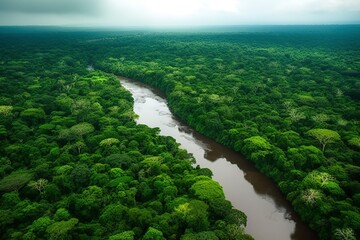 Fototapeta na wymiar Aerial view of the Amazonas jungle landscape with river bend. 