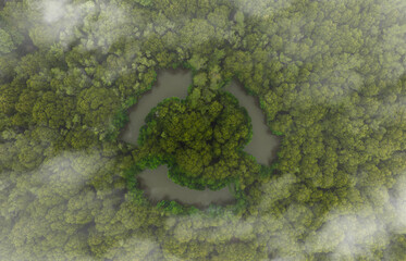 Aerial view of misty clouds covering the dark green forest and river. The rich natural ecosystem of...