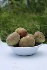 figs photos with white and green backgrounds and from different angles 