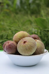 figs photos with white and green backgrounds and from different angles 