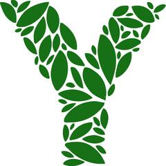 Leaf Font Letter Y