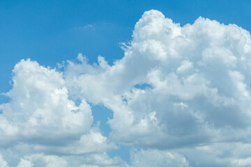 Obraz premium 爽やかな夏空と白い雲