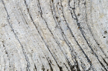 design textures and concrete