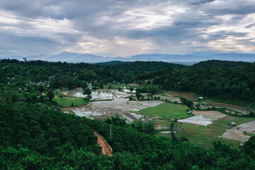 Pictures of rice fields and nature outside the capital