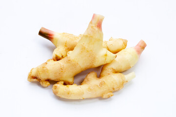 Young ginger on white background.