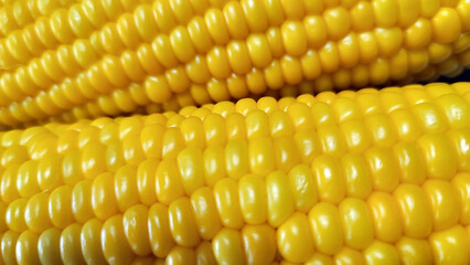 茹でたとうもろこし／boiled corn／삶은 옥수수