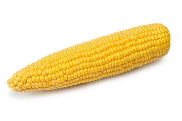 Ear of corn on a white background. Natural corn. A large yellow ear of corn.