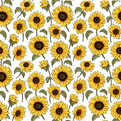 sunflower isolated on white background generative AI