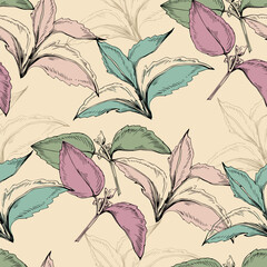 Seamless pattern of mint leaves. Hand drawing. Good for textile printing and adult coloring books.