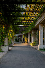 Pergola with green plants at Centennial Hall in Wroclaw. Poland in summer. Garden Archway in full bloom Greenery Biophilia design Flowers green areas healthy space sustainable 